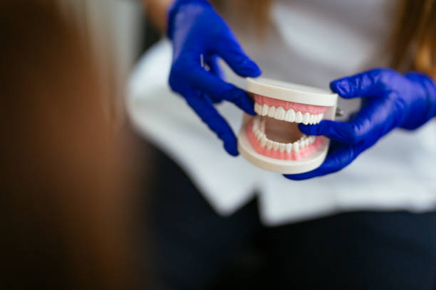 Best Preventive Dentistry  in Nth Bend, OR